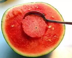 娱乐吃瓜酱毛毯