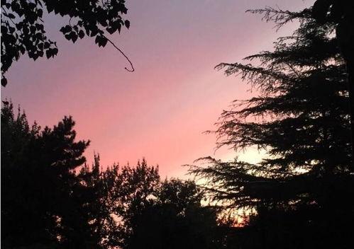 娱乐吃瓜酱 白月光,揭秘娱乐圈的甜蜜与苦涩