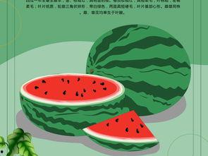 娱乐吃瓜背景图素材高清,高清背景图下的吃瓜盛宴