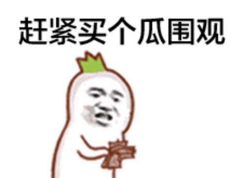 娱乐吃瓜小群众百家号,那些你不知道的幕后故事