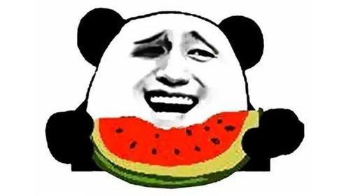 娱乐吃瓜酱努力生活